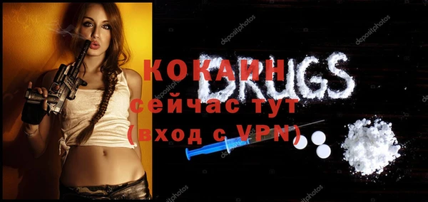 молекула духа Кинешма