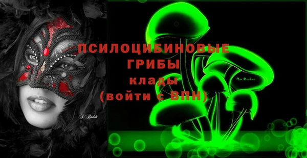 ПСИЛОЦИБИНОВЫЕ ГРИБЫ Алзамай