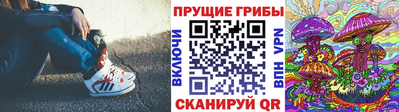 Галлюциногенные грибы Psilocybine cubensis Майкоп