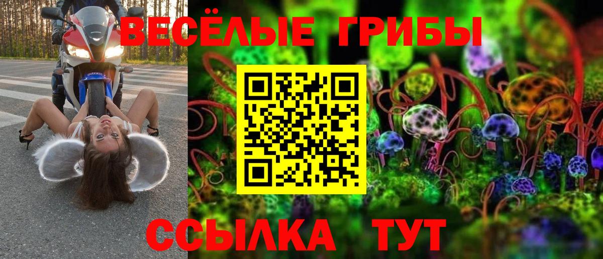 Псилоцибиновые грибы Psilocybe  Вход с VPN  Майкоп  Галлюциногенные грибы Cubensis 